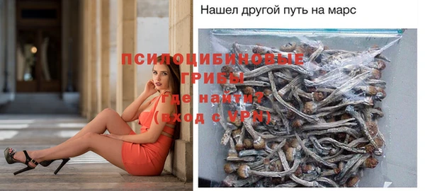 apvp Майский
