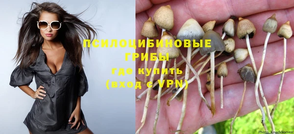 apvp Майский